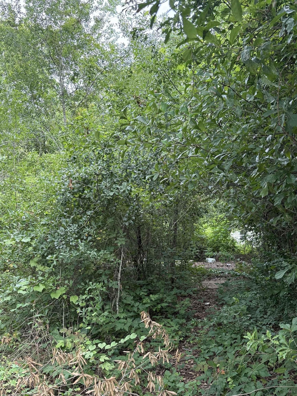 7 Circle R, Orange, TX 77630 - photo 2