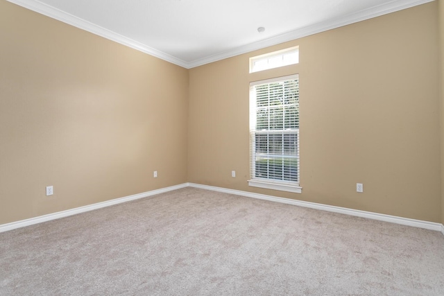 empty room featuring light carpet and ornamental molding