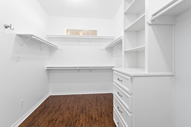 walk in closet featuring dark hardwood / wood-style flooring