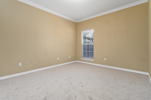 unfurnished room with carpet and ornamental molding