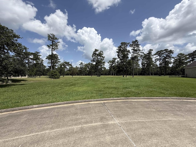 280 Idylwild, Sour Lake, TX 77659