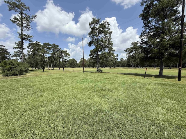 280 Idylwild, Sour Lake, TX 77659