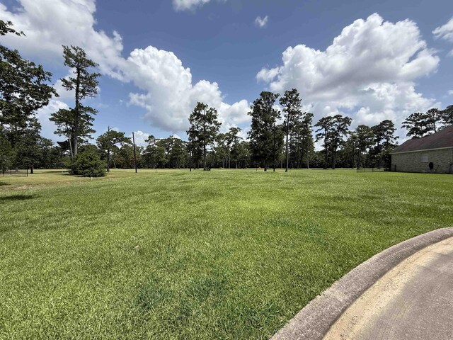 280 Idylwild, Sour Lake, TX 77659