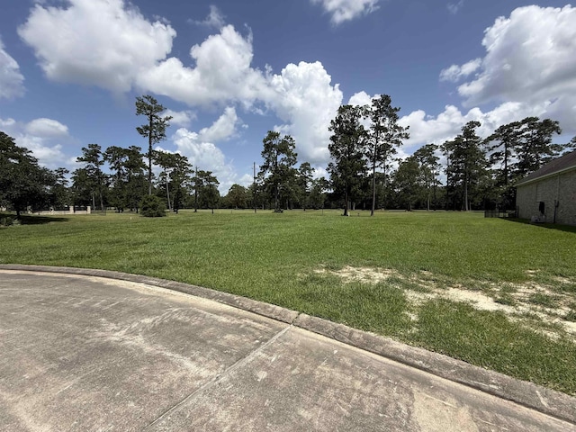 280 Idylwild, Sour Lake, TX 77659