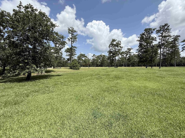 280 Idylwild, Sour Lake, TX 77659