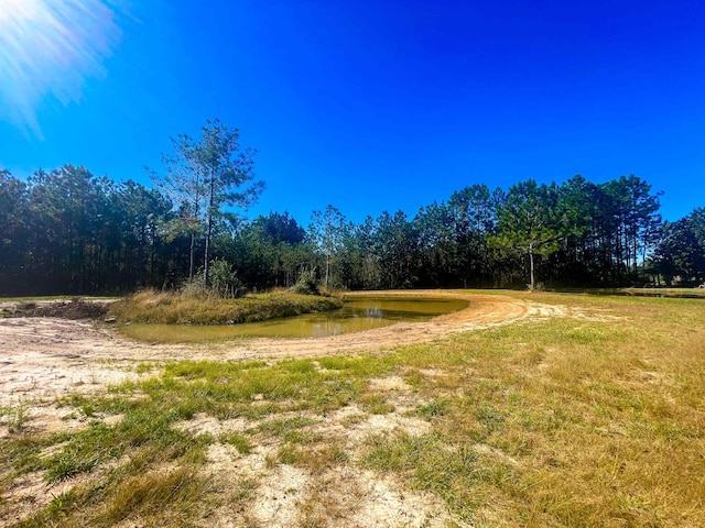 Listing photo 3 for 0000 Reed Ranch Rd, Silsbee TX 77656