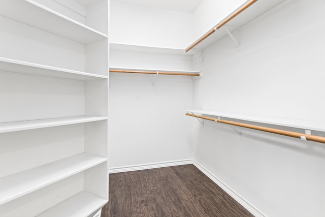 walk in closet with wood-type flooring