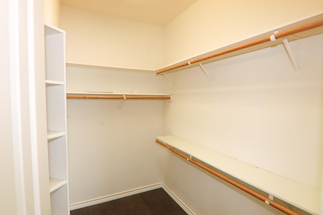 walk in closet featuring dark hardwood / wood-style floors