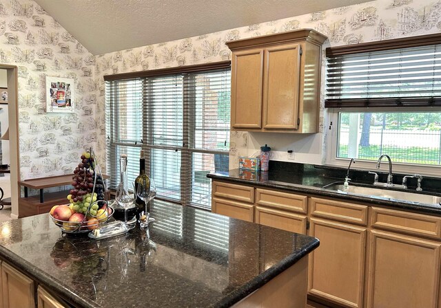 kitchen with vaulted ceiling, a wealth of natural light, dark stone counters, and sink