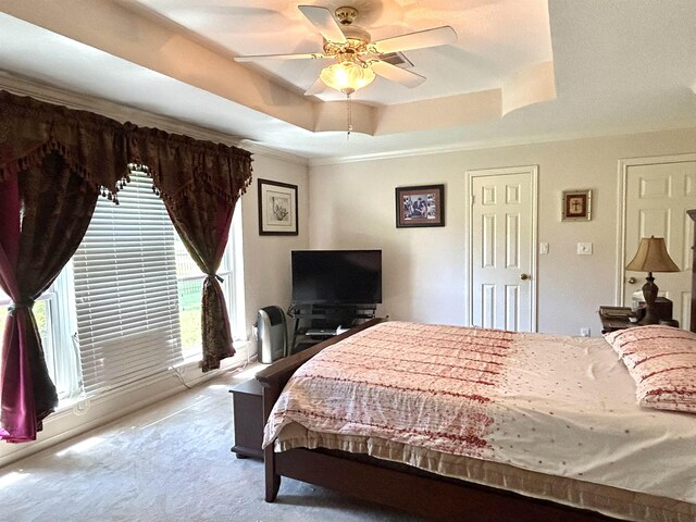 carpeted bedroom featuring a tray ceiling and ceiling fan