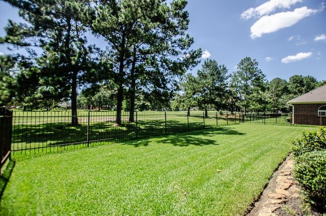 view of yard with a rural view