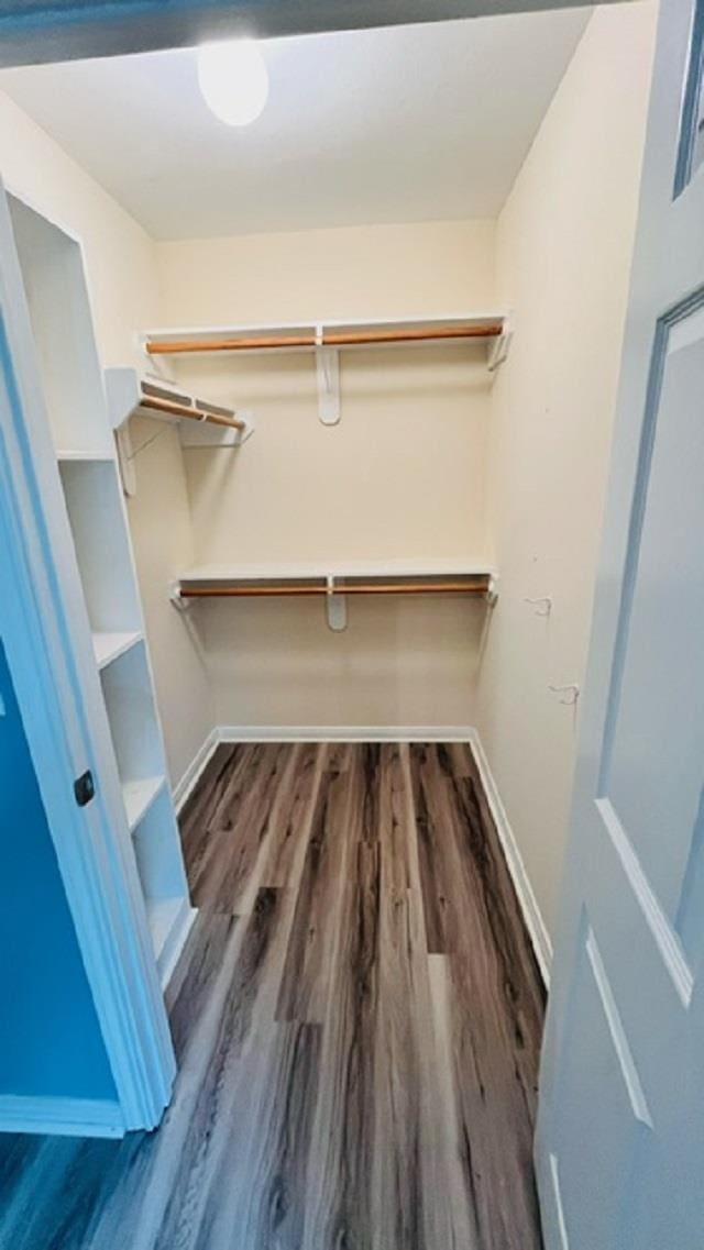 walk in closet featuring dark wood-type flooring