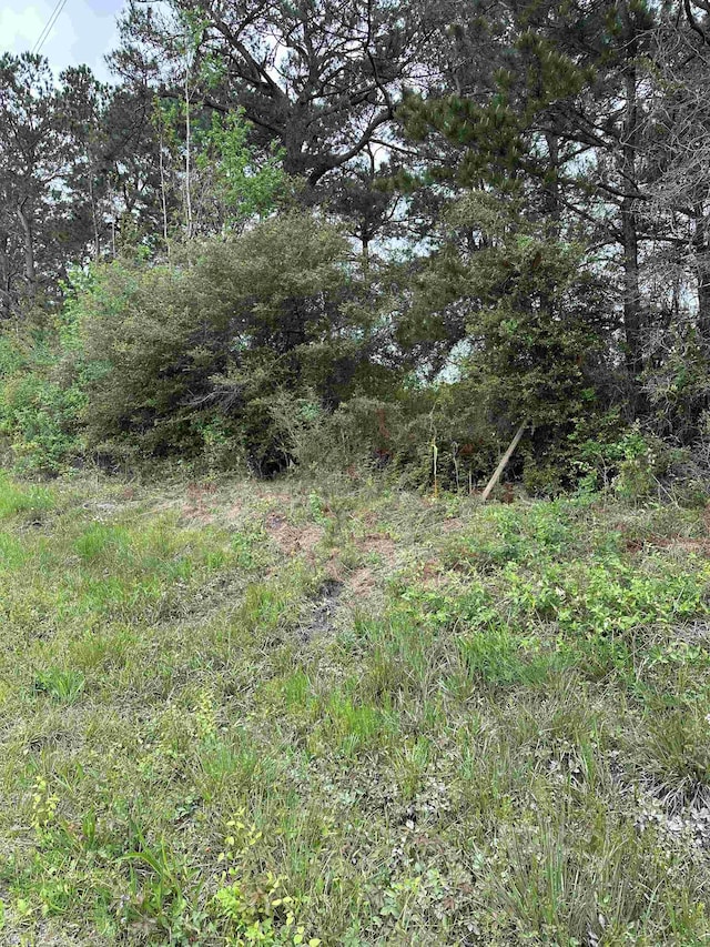 25882 Interstate 10, Winnie, TX 77665 - photo 6