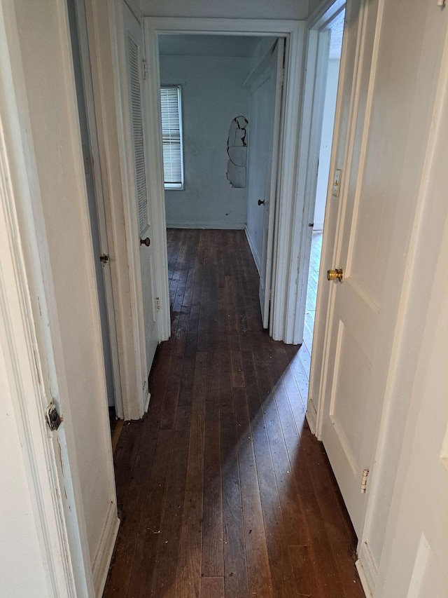 hallway featuring dark hardwood / wood-style floors