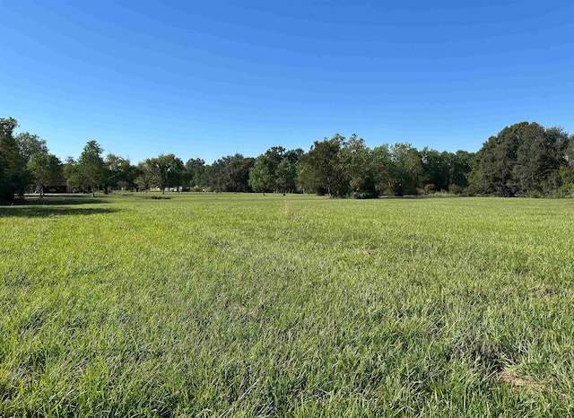 9306 N Garden Dr, Beaumont, TX 77705 - photo 7