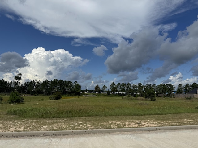 1860 Brenner Blvd, Lumberton, TX 77657 - photo 7
