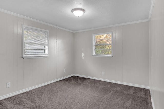 empty room with carpet and ornamental molding