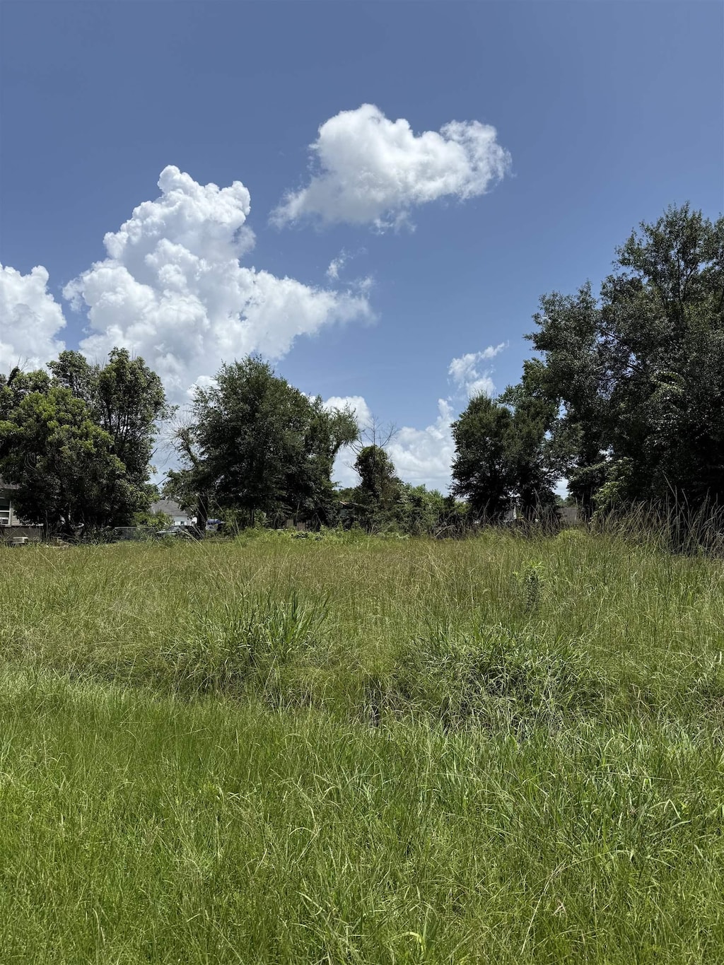1407 W John Ave, Orange, TX 77630 - photo 2