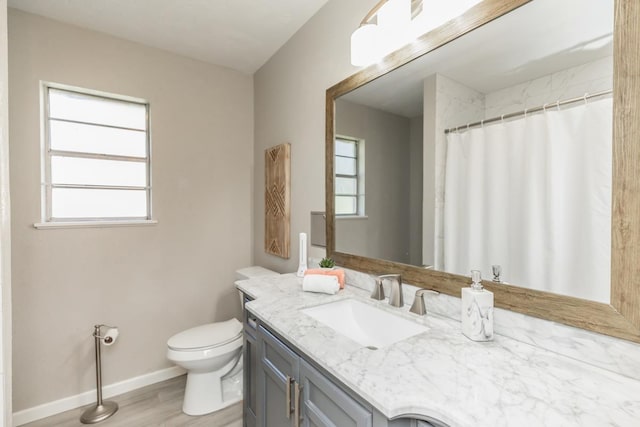 full bathroom featuring toilet, a healthy amount of sunlight, vanity, and wood finished floors