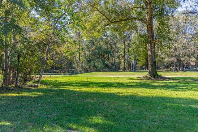 view of community with a lawn