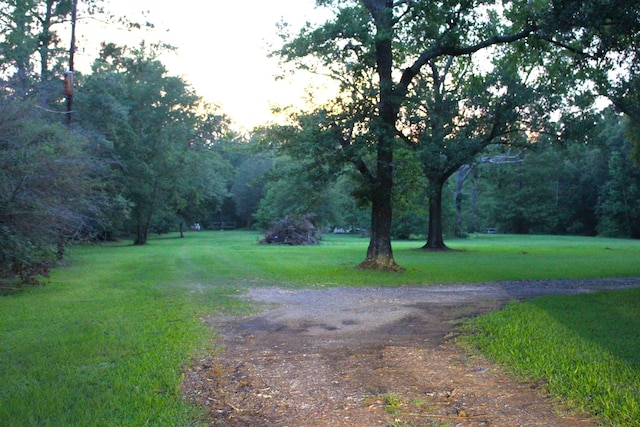 exterior space with a yard