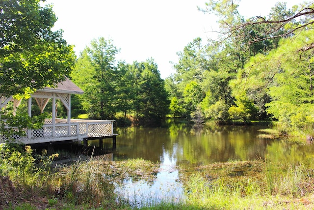 dock area with a gazebo and a water view