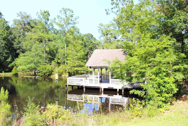 dock area with a water view