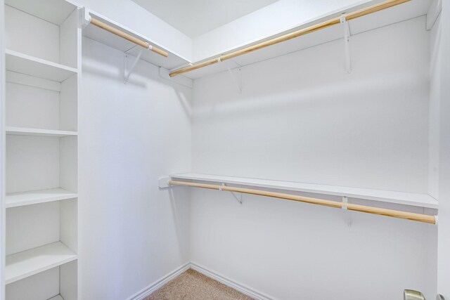 6640 Palace Dr, Lumberton, TX 77657 - walk in closet featuring carpet
