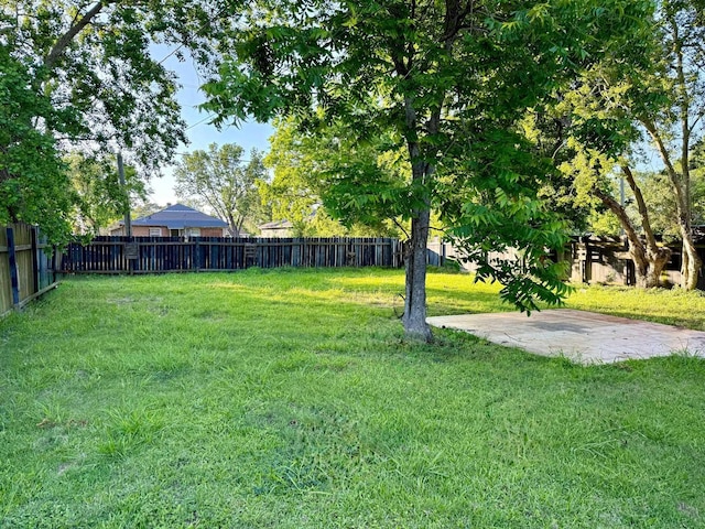 1235 13th St, Street, Port Arthur, TX 77640 - view of yard