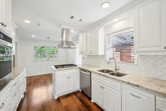 345 Mayhaw Dr, Vidor, TX 77662 - kitchen featuring a sink, a peninsula, exhaust hood, stainless steel appliances, and dark wood-type flooring