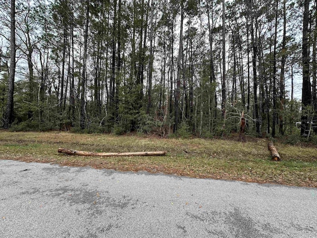 24 John Loop, Lumberton, TX 77657 - photo 1