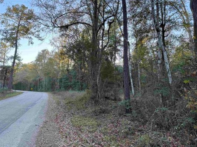 000 County Road 443, Kirbyville TX, 75956 land for sale