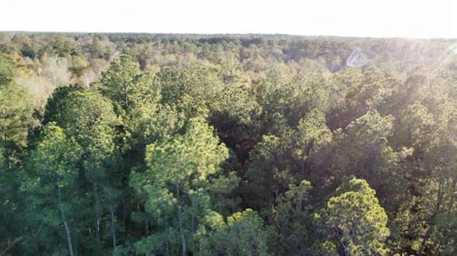 Listing photo 2 for 000 County Road 443, Kirbyville TX 75956