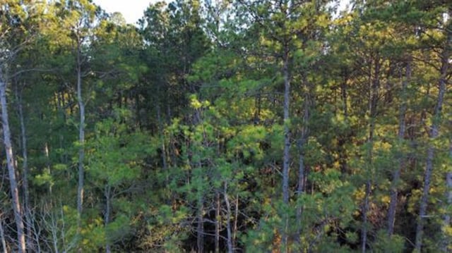 Listing photo 3 for 000 County Road 443, Kirbyville TX 75956