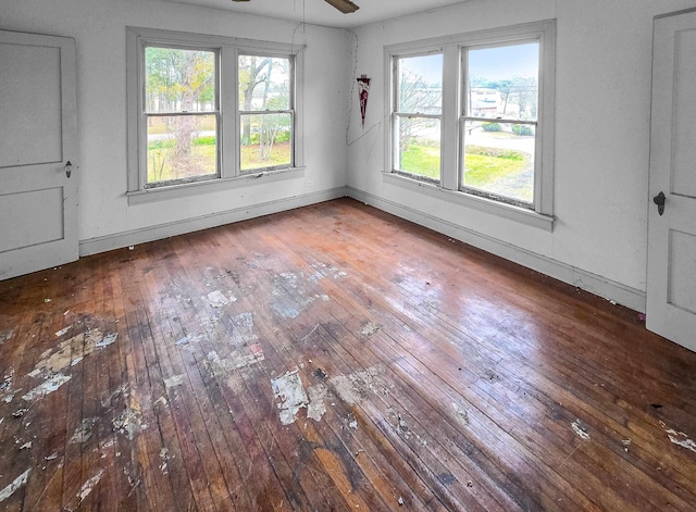 unfurnished dining area featuring hardwood / wood-style flooring, a healthy amount of sunlight, and ceiling fan