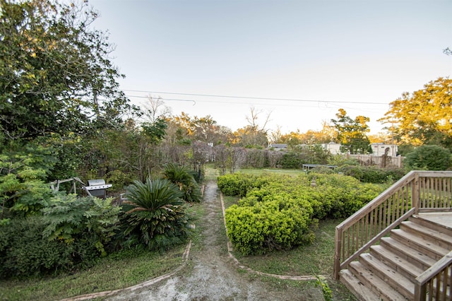 2108 Harrison Ave, Beaumont, TX 77701 - view of yard