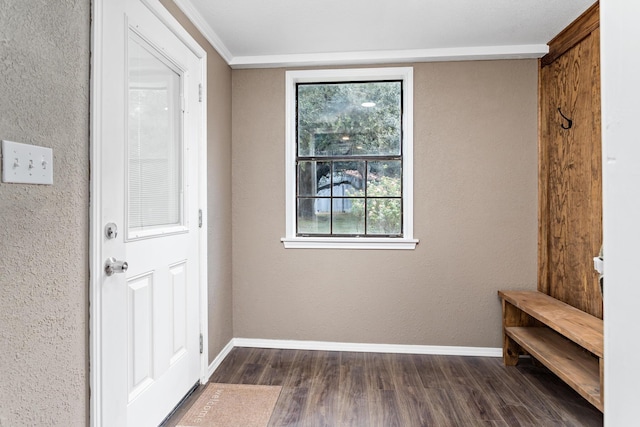 interior space with crown molding and dark hardwood / wood-style flooring