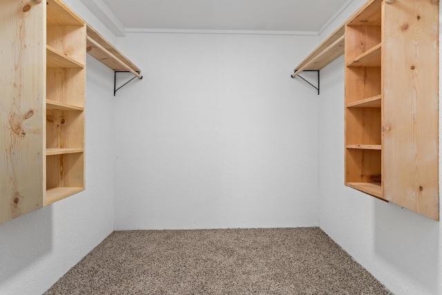 spacious closet featuring carpet floors