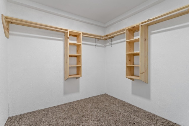 spacious closet featuring carpet