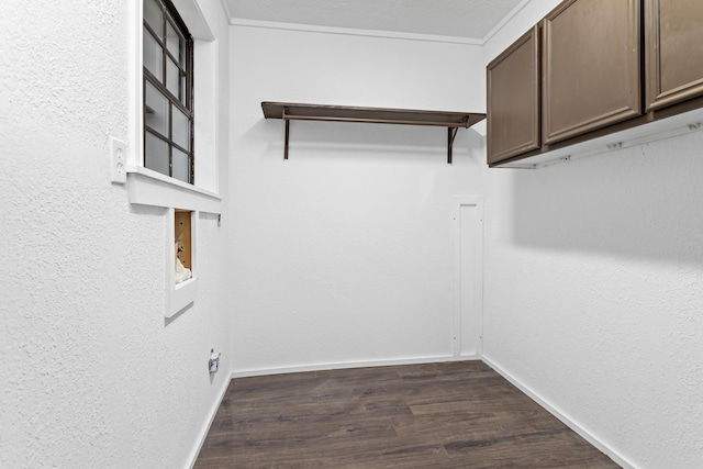 spacious closet featuring dark hardwood / wood-style flooring