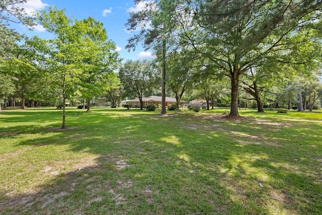 5434 Airline Rd, Silsbee, TX 77656 - view of grassy yard