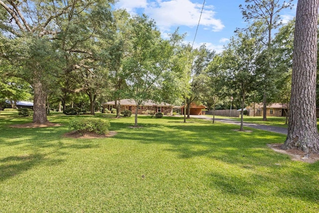 5434 Airline Rd, Silsbee, TX 77656 - view of property's community featuring a lawn
