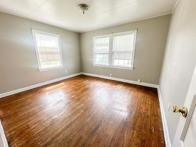 empty room featuring a wealth of natural light and wood-type flooring