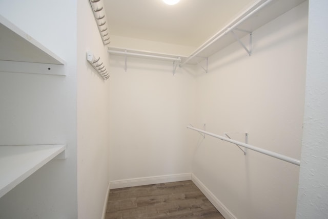 walk in closet with wood-type flooring