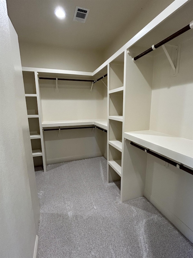 spacious closet with light colored carpet