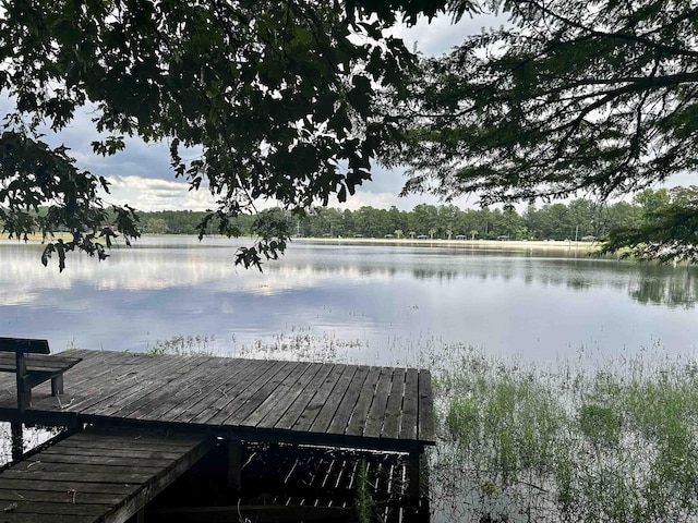 104 Hornbeam Dr, Village Mills, TX 77663 - dock area featuring a water view