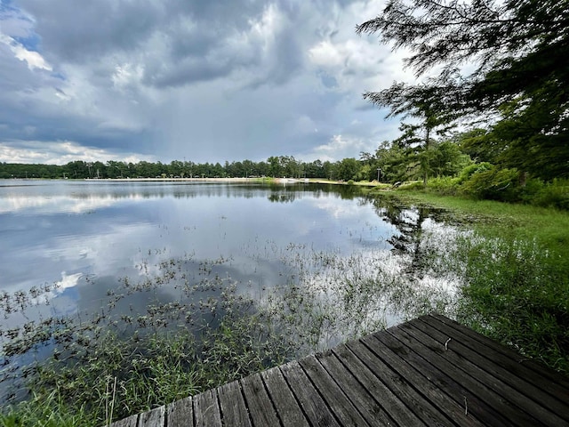 104 Hornbeam Dr, Village Mills, TX 77663 - dock with a water view
