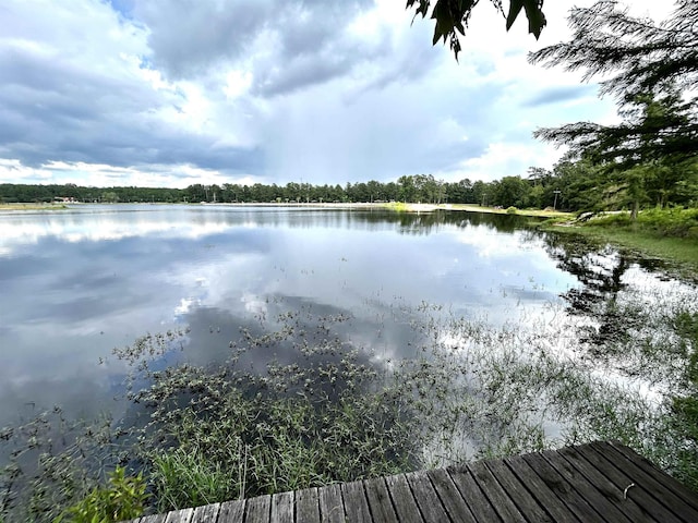 104 Hornbeam Dr, Village Mills, TX 77663 - water view