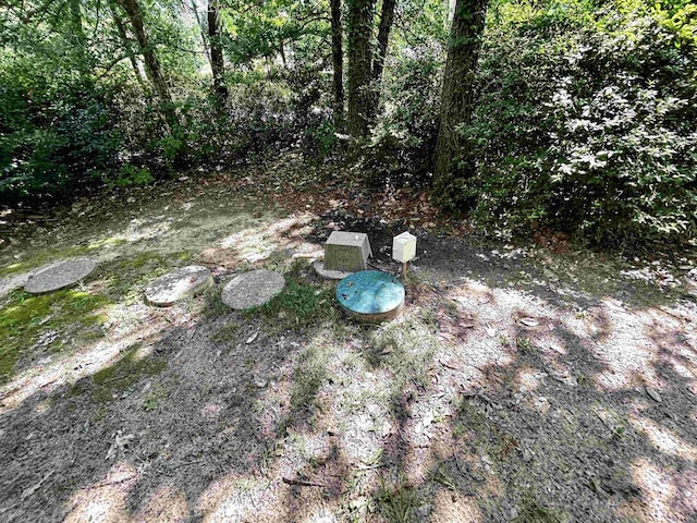 104 Hornbeam Dr, Village Mills, TX 77663 - view of yard