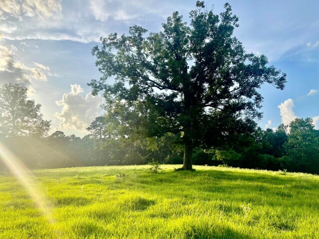 view of nature